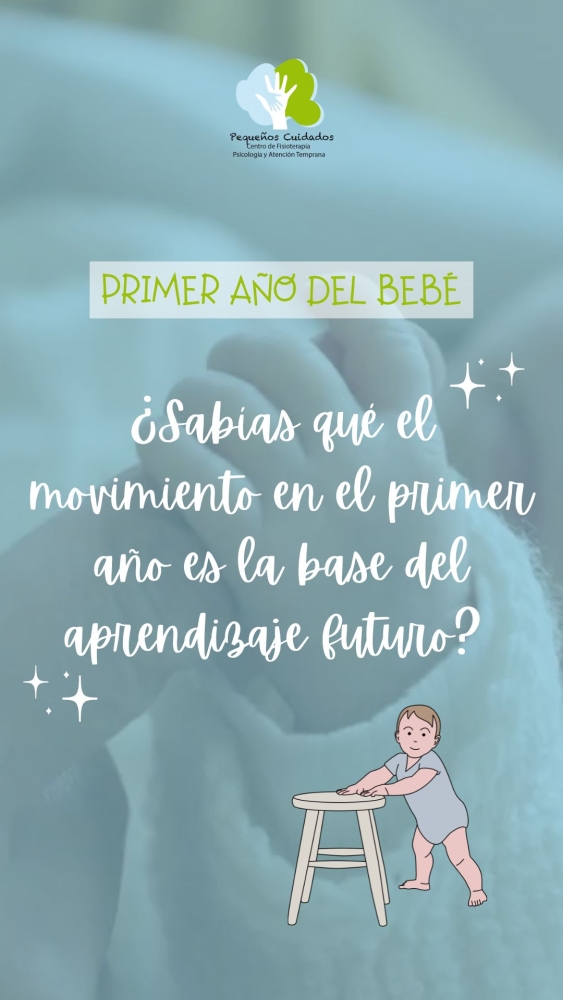 Primer año del bebé