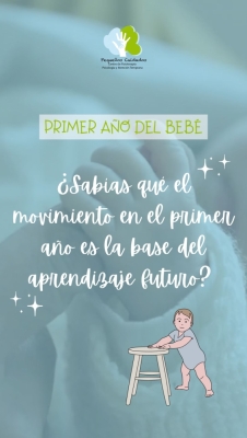 Primer aÃ±o del bebÃ©
